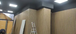 Pintor profesional Girona provincia