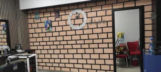 Pintor profesional Girona provincia