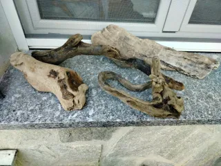 Legni di mare decorativi 4 pezzi