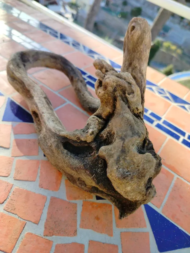 Legni di mare decorativi 4 pezzi