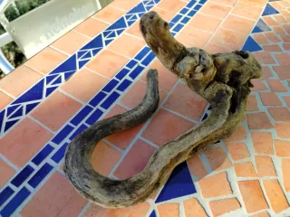 Legni di mare decorativi 4 pezzi