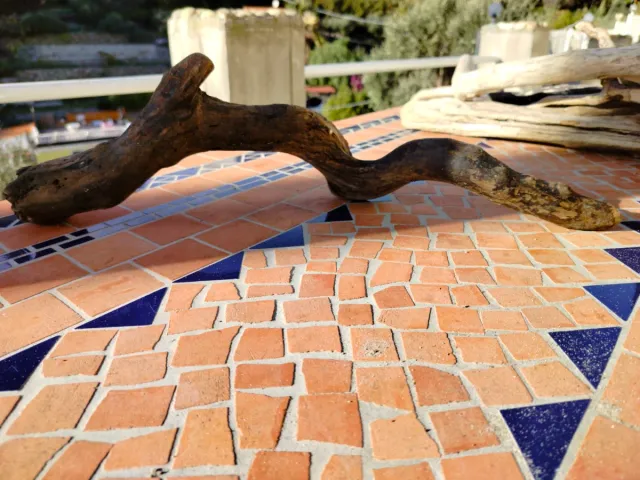 Legni di mare decorativi 4 pezzi