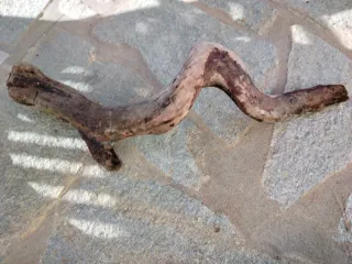 Legni di mare decorativi 4 pezzi