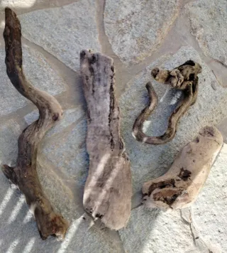 Legni di mare decorativi 4 pezzi