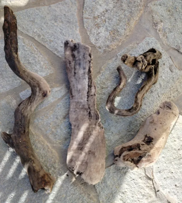 Legni di mare decorativi 4 pezzi