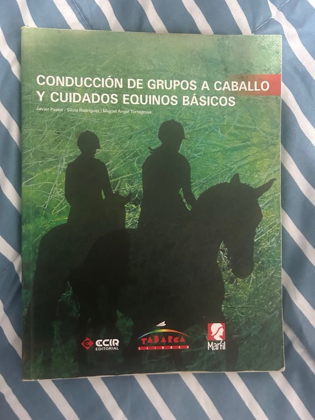 Conducción de Grupos a Caballo y Cuidados Equinos