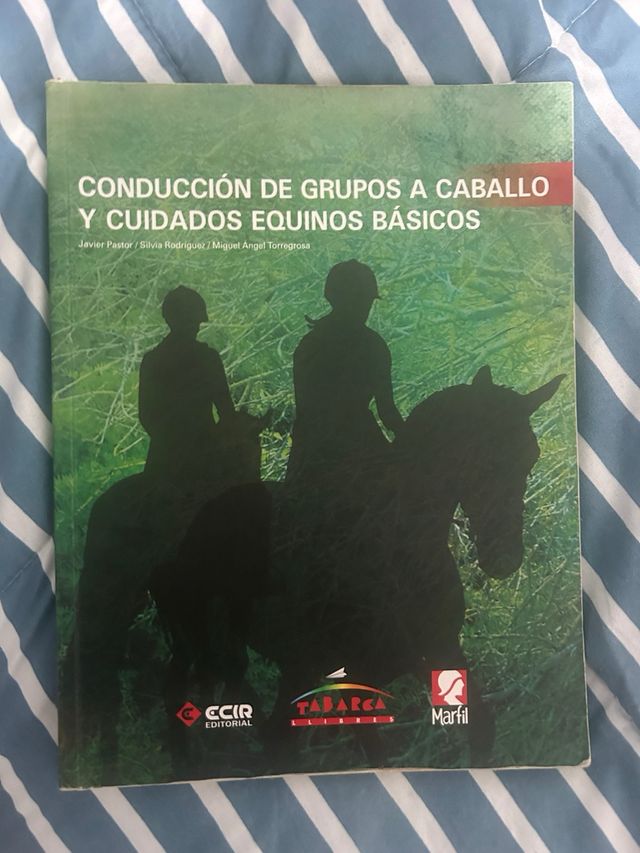 Conducción de Grupos a Caballo y Cuidados Equinos