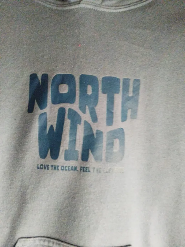 Sudadera Gildan con capucha