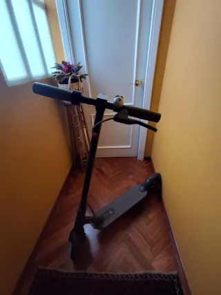 Patinete Eléctrico Xiaomi