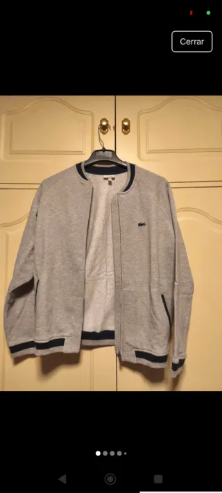 Sudadera niño Lacoste gris
