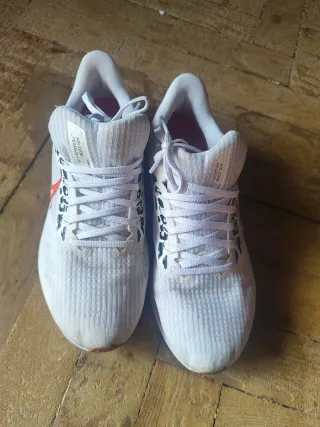 Zapatillas Nike Air Zoom Pegasus Mujer