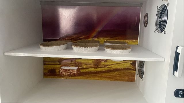 Jaula Enfermeria Multifuncion Regalo Calienta Nido