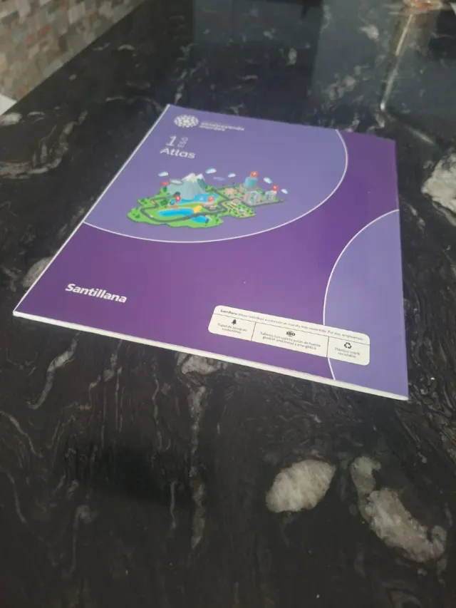 libro santillana