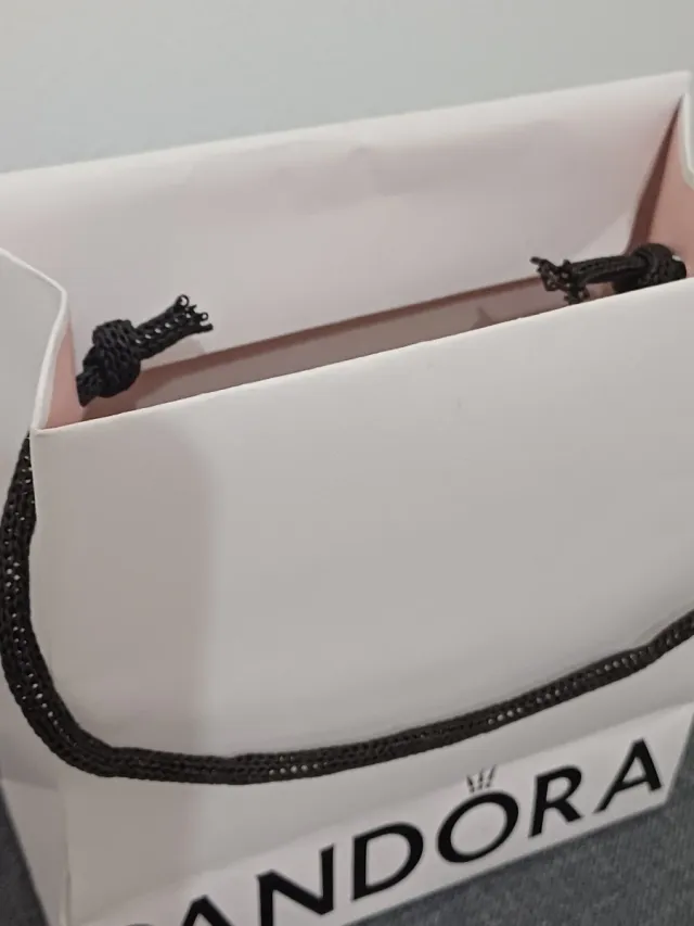 Borsa e Scatola Pandora