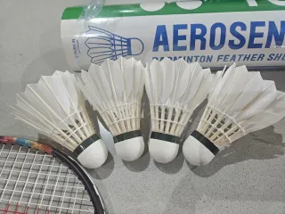 YONEX Nanoflare 700 Game