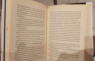 The danish girl [ in Italian ] (Italian Edition)