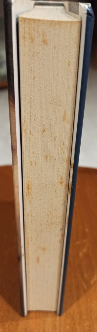 The danish girl [ in Italian ] (Italian Edition)