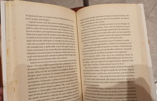 The danish girl [ in Italian ] (Italian Edition)