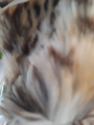 Colletto in pelliccia sintetica