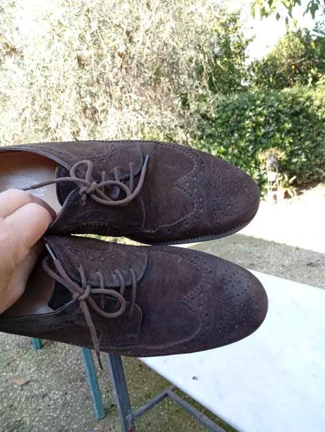 TOD'S Scarpe Derby Pelle Scamosciata Marrone