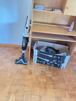 Scopa elettrica Rowenta Powerline