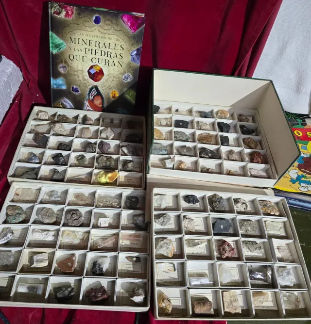 Colección 100 Minerales y Piedras Ilustradas