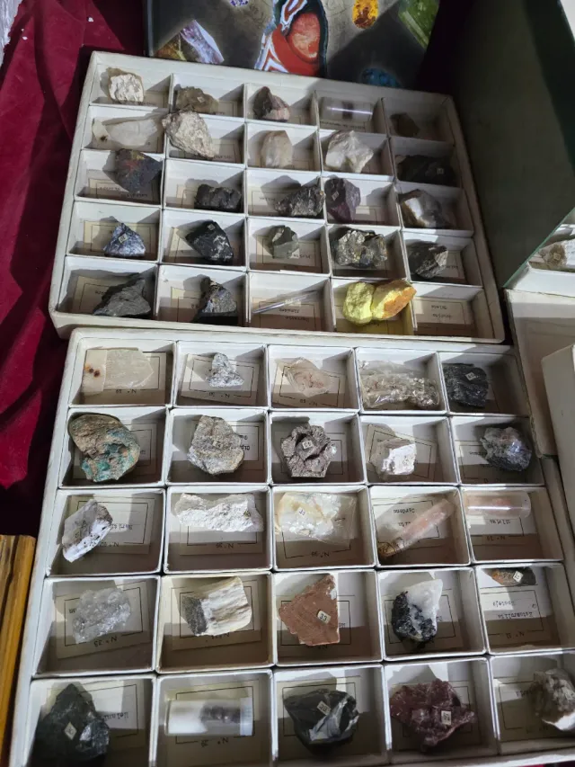Colección 100 Minerales y Piedras Ilustradas