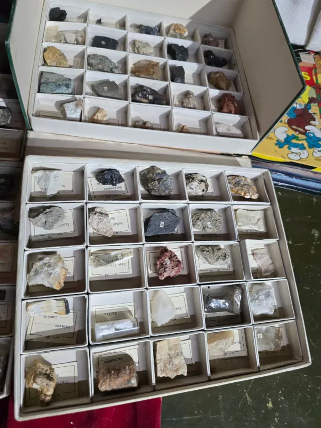 Colección 100 Minerales y Piedras Ilustradas