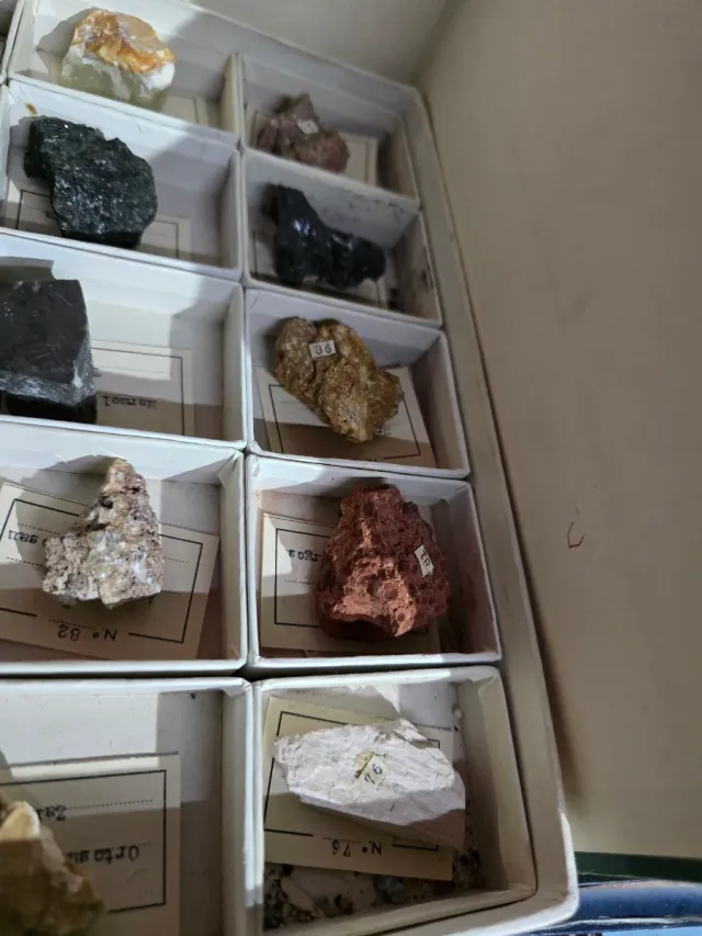 Colección 100 Minerales y Piedras Ilustradas