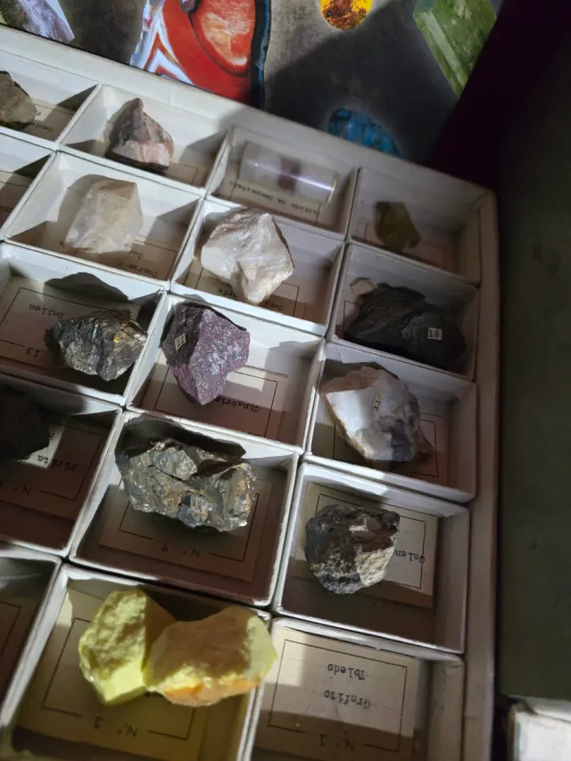 Colección 100 Minerales y Piedras Ilustradas