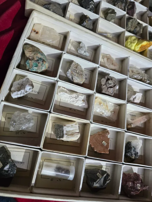 Colección 100 Minerales y Piedras Ilustradas