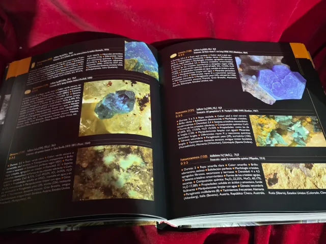 Colección 100 Minerales y Piedras Ilustradas