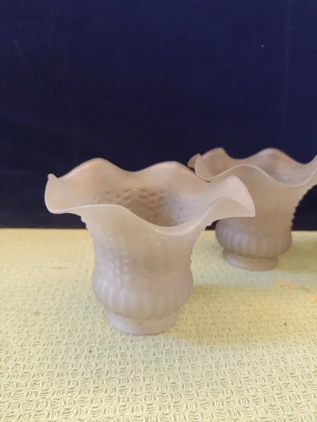 Paralumi in vetro a forma di petalo (4 pezzi)