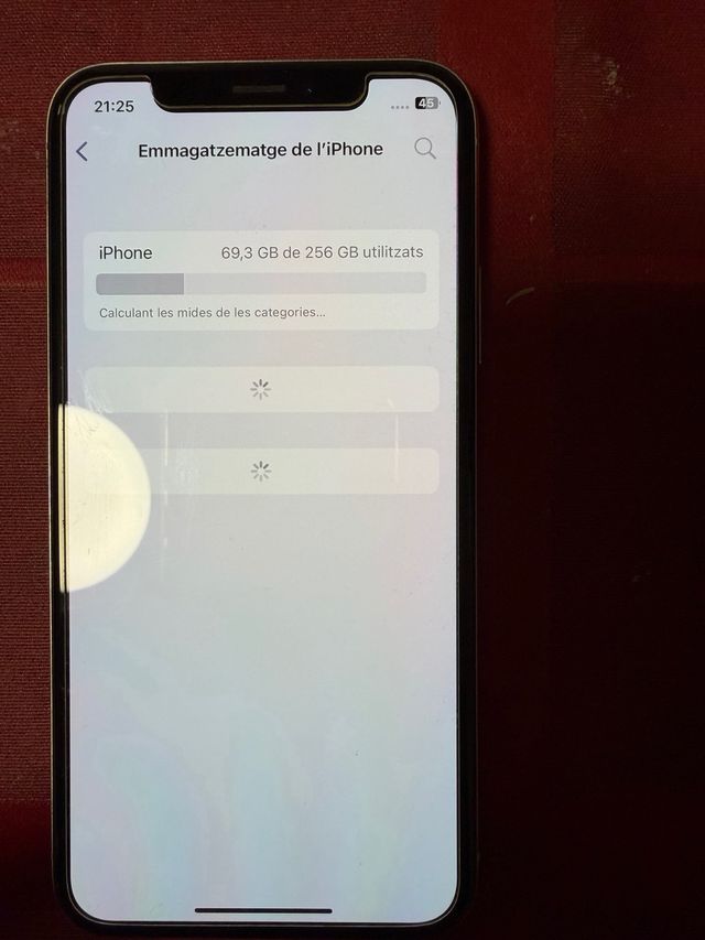 iPhone X 256GB Apple