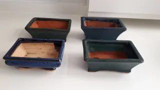 Lote de 4 Macetas para Bonsái Cerámica.