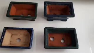Lote de 4 Macetas para Bonsái Cerámica.