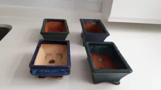 Lote de 4 Macetas para Bonsái Cerámica.