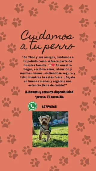 Cuidado de perros