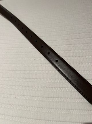 Cinturón Marrón y Dorado