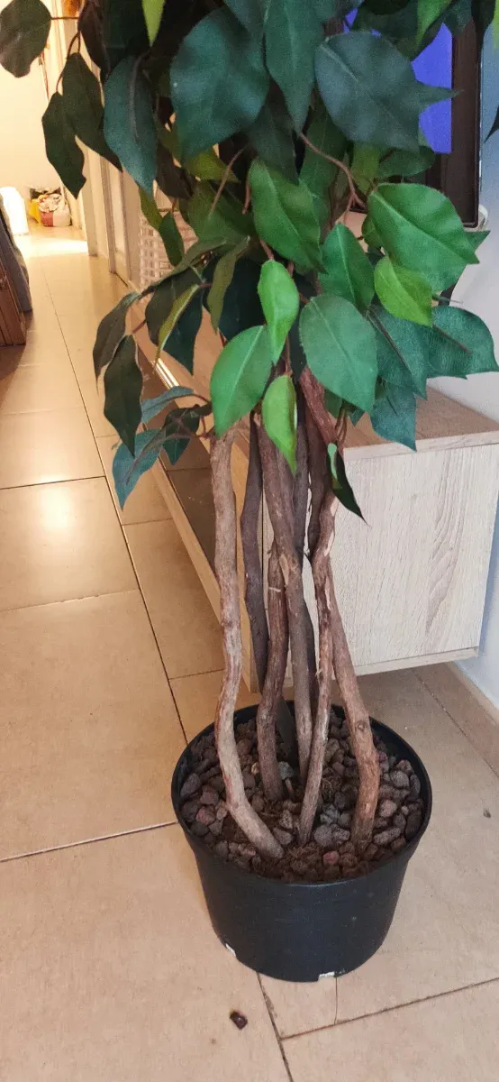 Ficus artificial ultrarrealista 1,80-2m