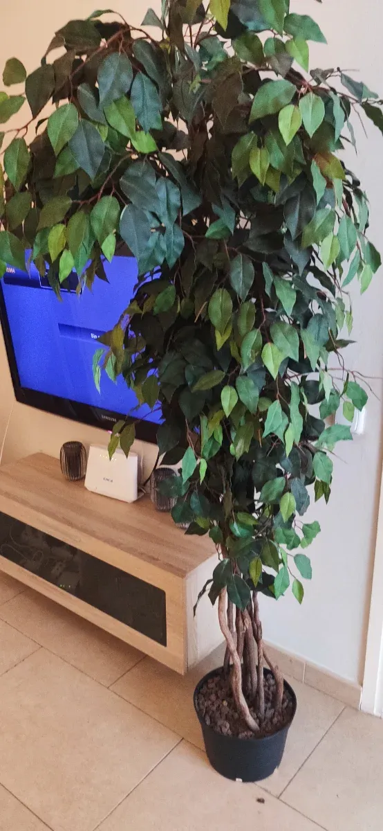 Ficus artificial ultrarrealista 1,80-2m