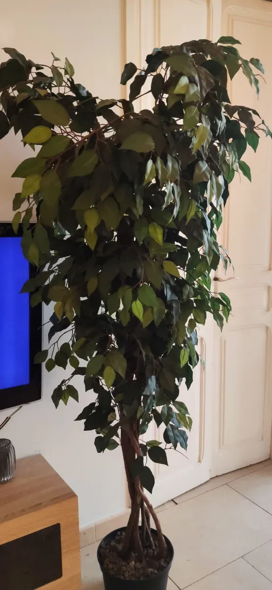 Ficus artificial ultrarrealista 1,80-2m