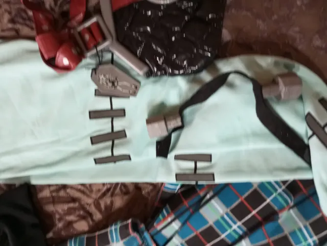 Disfraz Monster High Frankie Stein