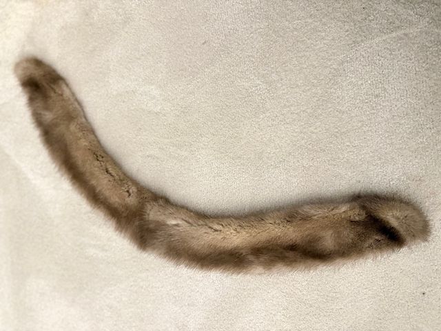 Collo di pelo grigio e marrone