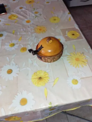 Formaggiera in legno con coperchio