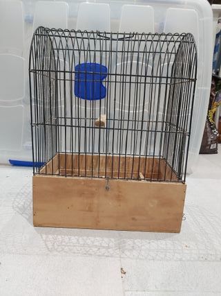Jaulas para pájaros