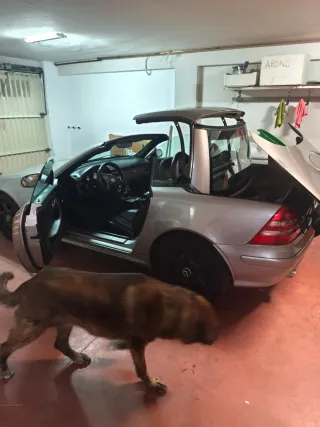 Mercedes-Benz SLK 2003