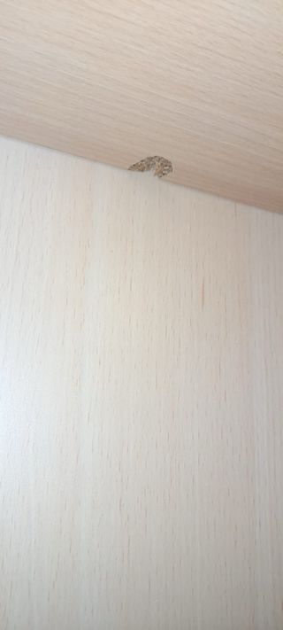 Ropero de madera 2 puertas. Sólo venta en persona