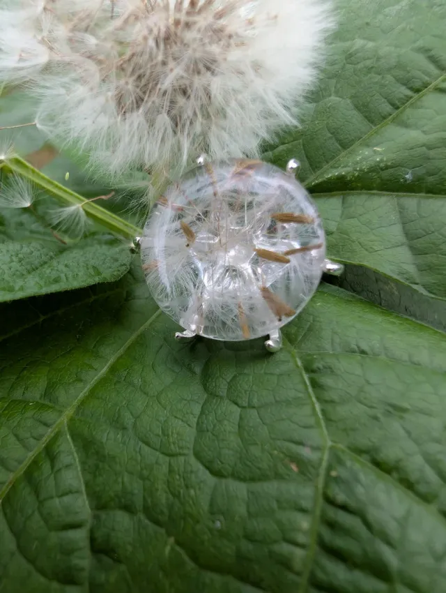 Anillo con Diente de León especial Navidad