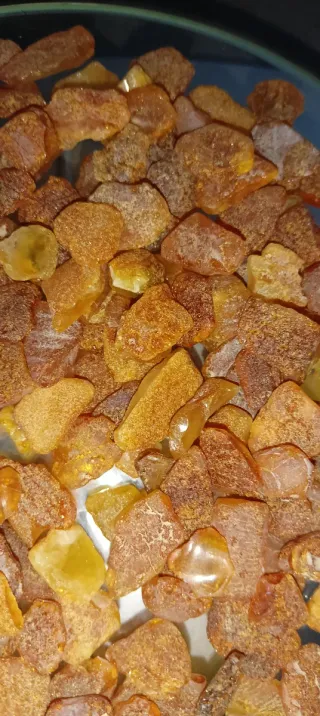 Ambra baltica grezza